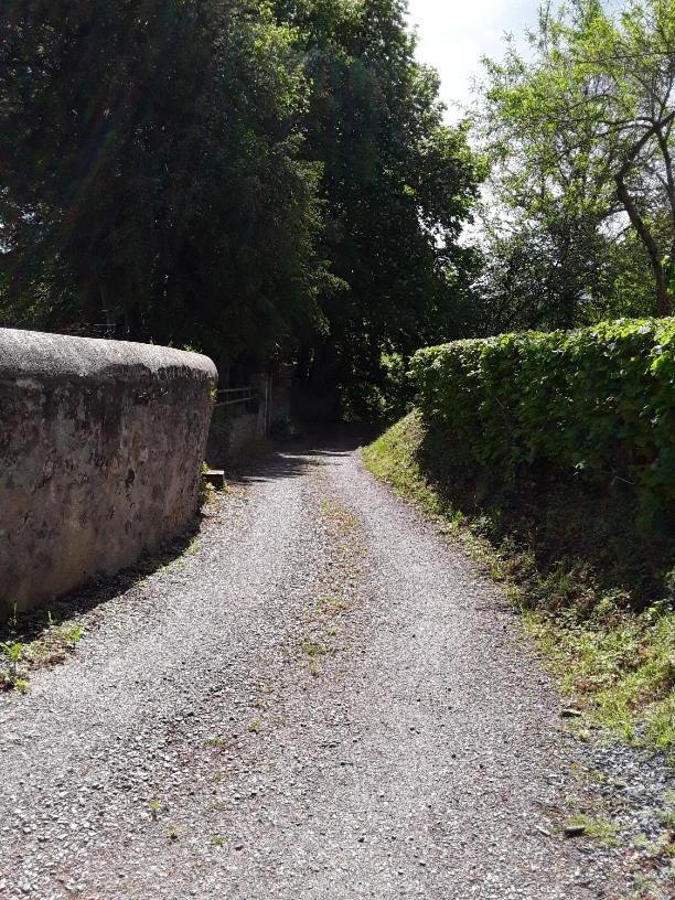 La Petite Bardouillere Villa Courdemanche  Bagian luar foto