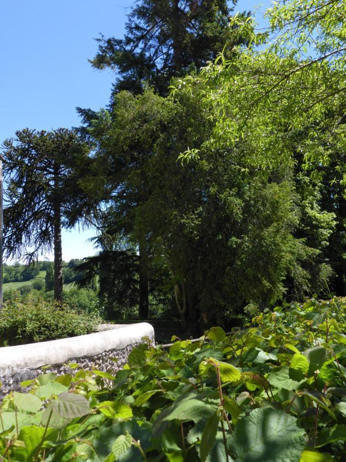 La Petite Bardouillere Villa Courdemanche  Bagian luar foto