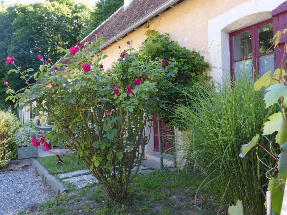 La Petite Bardouillere Villa Courdemanche  Bagian luar foto