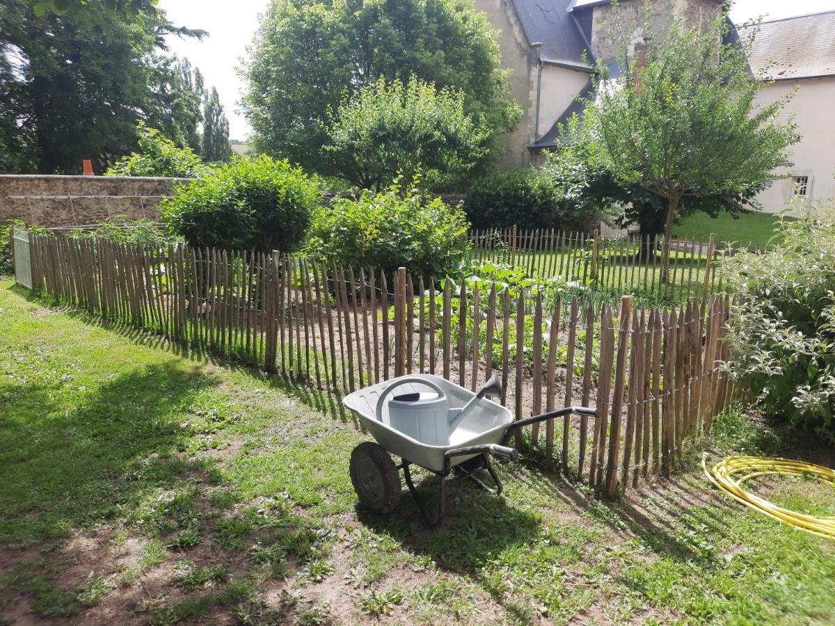 La Petite Bardouillere Villa Courdemanche  Bagian luar foto